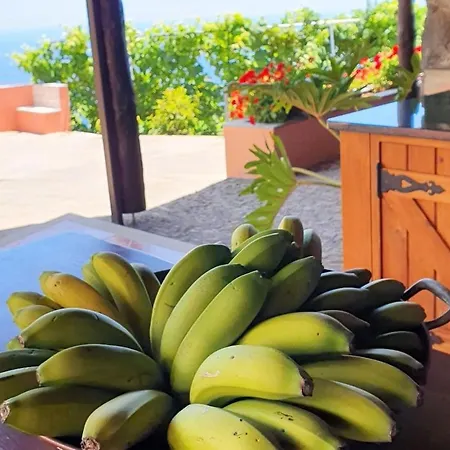 Ocean View Madeira 4